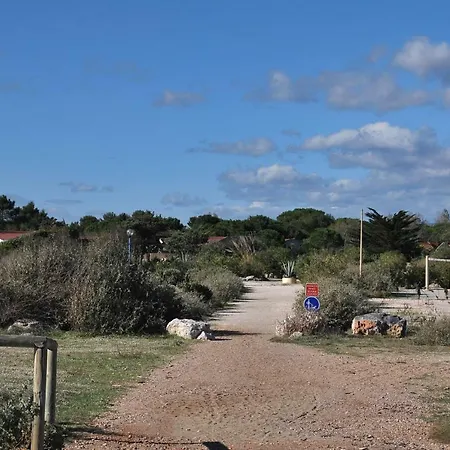 Dans Les Dunes *